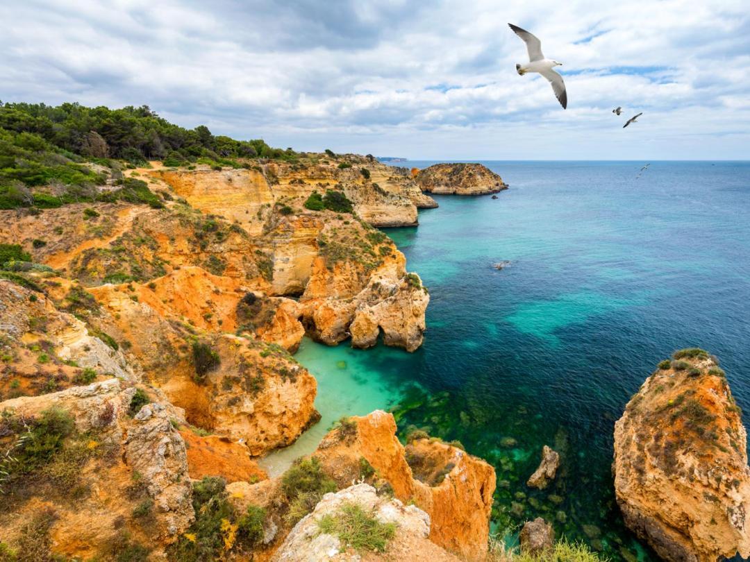 Praia Da Rocha By Ricardo Portimão Εξωτερικό φωτογραφία